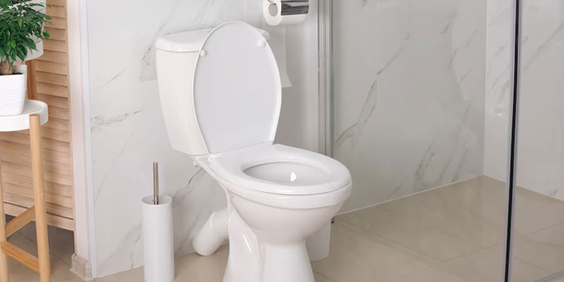 اصلی ترین ویژگی های توالت فرنگی خوب